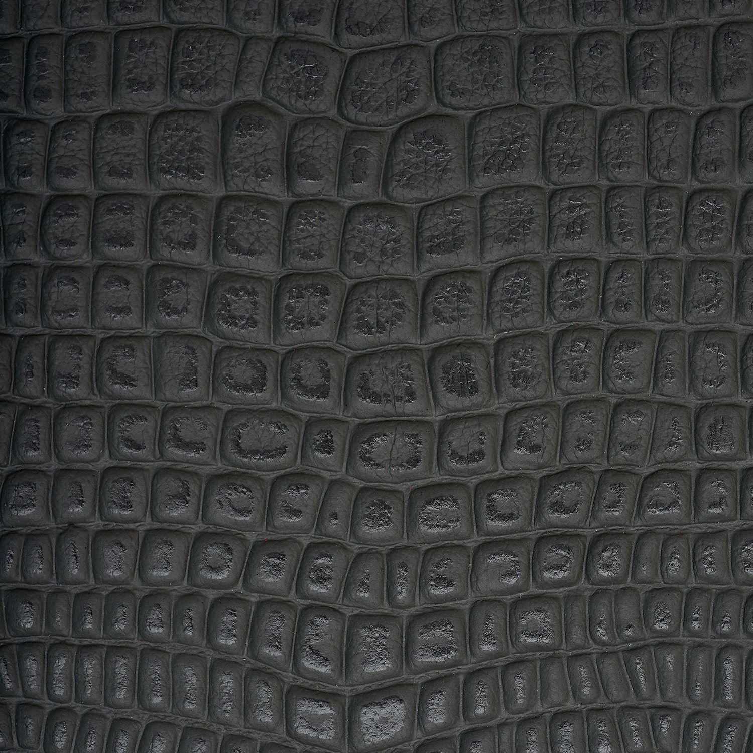 slidebg1