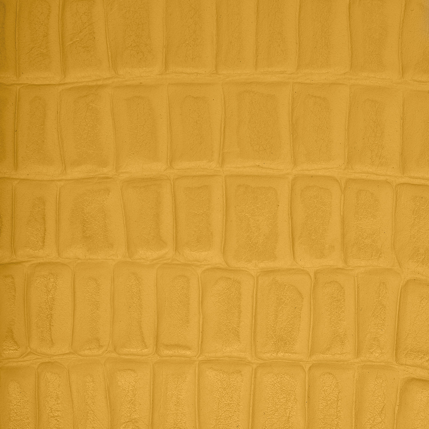 slidebg1